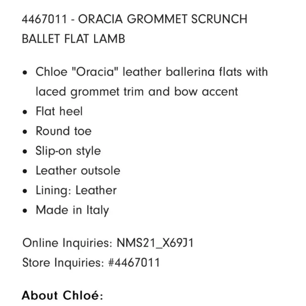 NWOB Chloe “Oracia” Grommet Leather Ballerina Flats NEW! Size 36.5